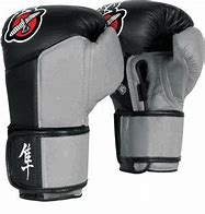 Image result for Boxing Gloves for Heavy Bag