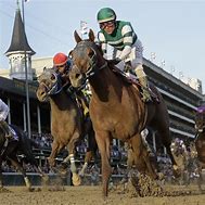 Image result for Breeders' Cup