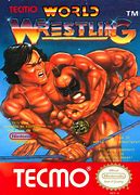 Image result for NES Wrestling Games