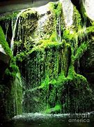 Image result for Moss Waterfall Indoor
