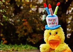 Image result for Fun Happy Birthday Wishes