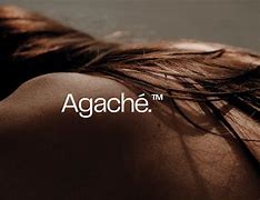 Image result for agaxhe