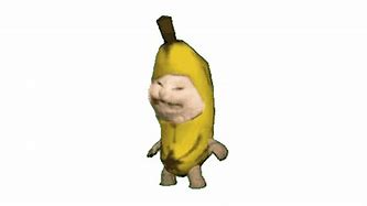 Image result for Banana Cat Funny