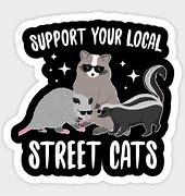 Image result for Support Your Local Street Racers