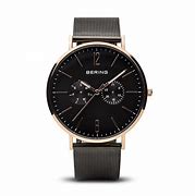 Image result for Bering Watch Logo