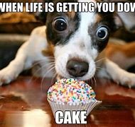 Image result for Piece of Crumb Cake Meme