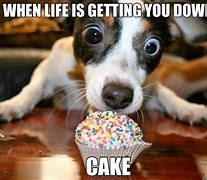 Image result for King Cake Meme