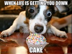 Image result for Birthday Meme Frosting Girl Cake