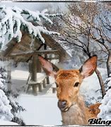 Image result for Winter Fawn Gifs