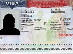 Image result for United States Work Visa