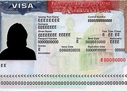 Image result for What Does a Work Visa Look Like