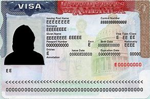 Image result for Work Visa Page