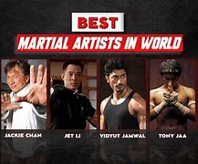 Image result for Who Is the Best Martial Artist