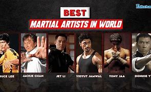 Image result for Best Martial Artist