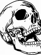 Image result for Skull Jaw Open Chechs