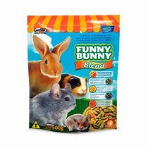 Image result for Funny Bunny Racao