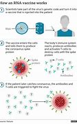 Image result for Vaccine Excipients