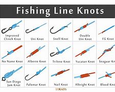 Image result for fish lines