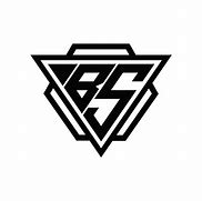 Image result for BS Group Logo