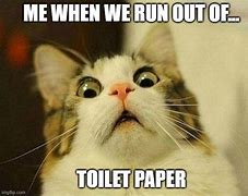 Image result for Ran Out of Toilet Paper Meme Cat