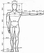 Image result for 6 Foot Male
