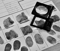 Image result for Fingerprint Expert