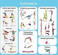 Image result for Gymnastics Equipment Names