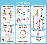 Image result for 7 Types of Gymnastics
