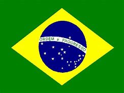 Image result for Brazilian Flag