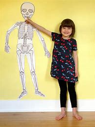 Image result for Life-Size Skeletal Printable