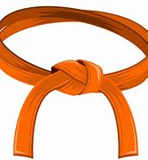 Image result for Orange Belt Karate
