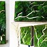 Image result for ferns mosses framed decor