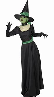 Image result for Ugly Witch Costume