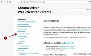 Image result for Google Chrome Driver for Windows 10