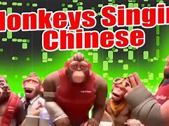 Image result for Singing Monkeys Funny