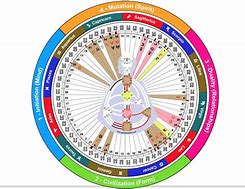 Image result for Zodiac Chart Human Design