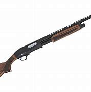 Image result for How Much Is Pump Action Price in Nigeria