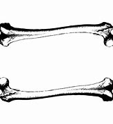 Image result for Bones