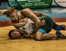 Image result for Wrestling Exercises