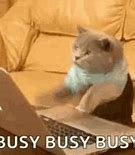 Image result for I'm Too Busy Meme
