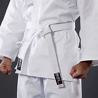 Image result for White Belt Karate