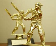 Image result for Cayley Cricket Trophy