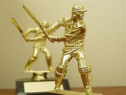 Image result for Custom Cricket Trophy