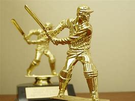 Image result for Cricket 24 Trophy