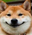 Image result for Smug Doge Meme