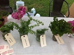 Image result for Herb Farmers Market Display