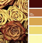 Image result for Sharp Combination Microwave Copper Colour