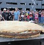 Image result for Biggest Food