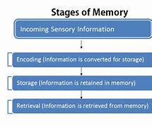 Image result for Memory Chart NT