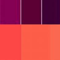 Image result for Plum Crimson and Coral Color Palette